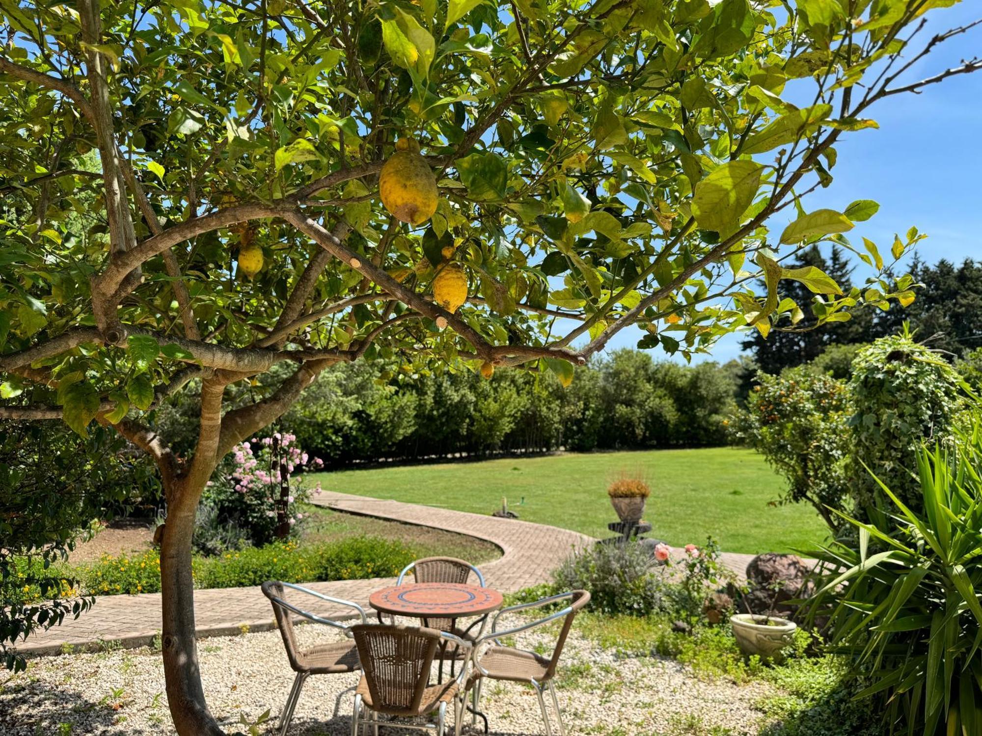 L'Orto Villa San Vero Milis ภายนอก รูปภาพ