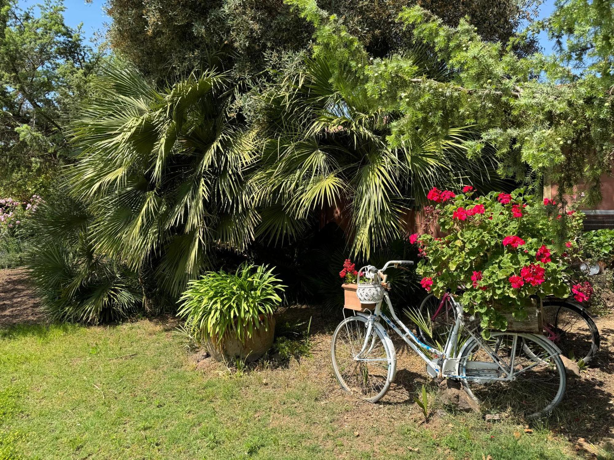 L'Orto Villa San Vero Milis ภายนอก รูปภาพ